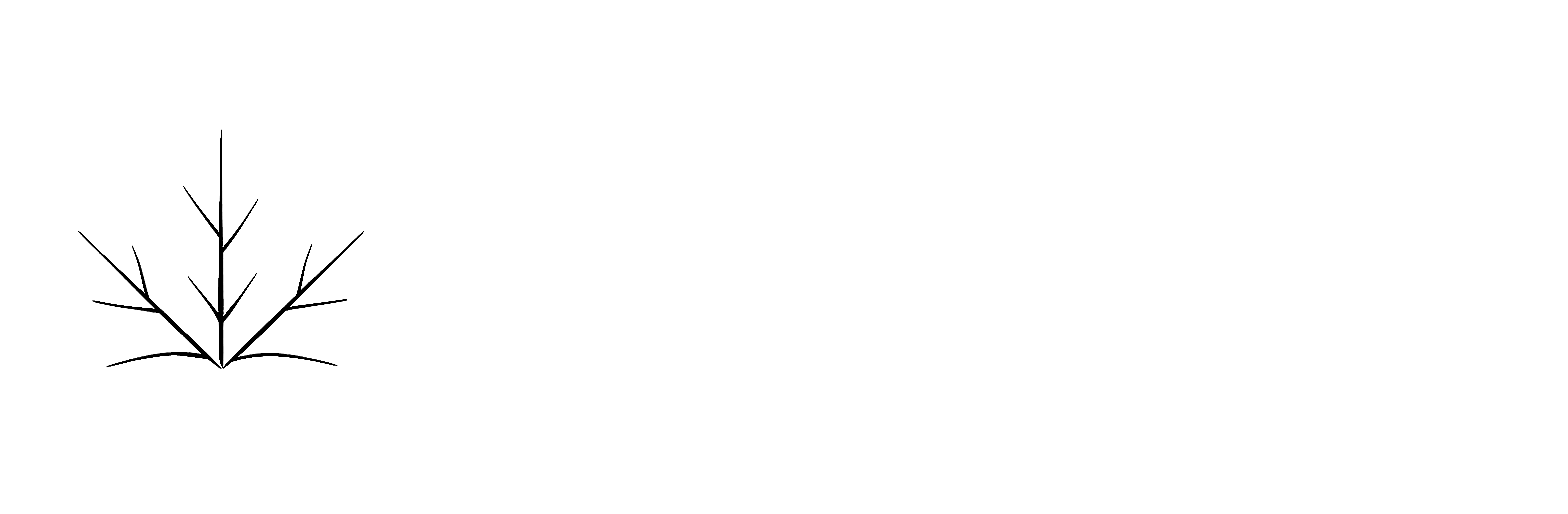 Çınar Trafik